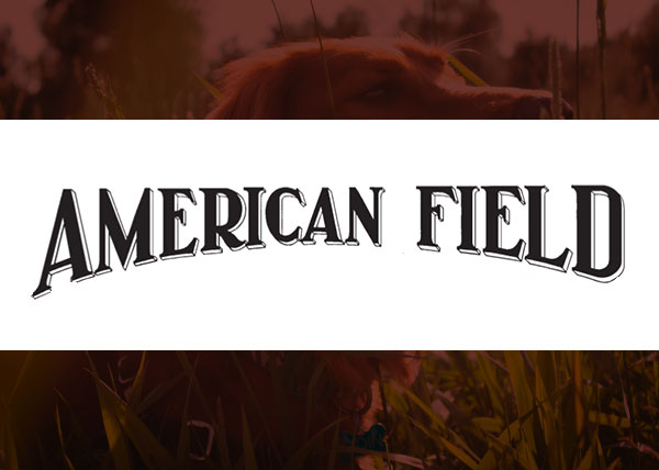 american field logo